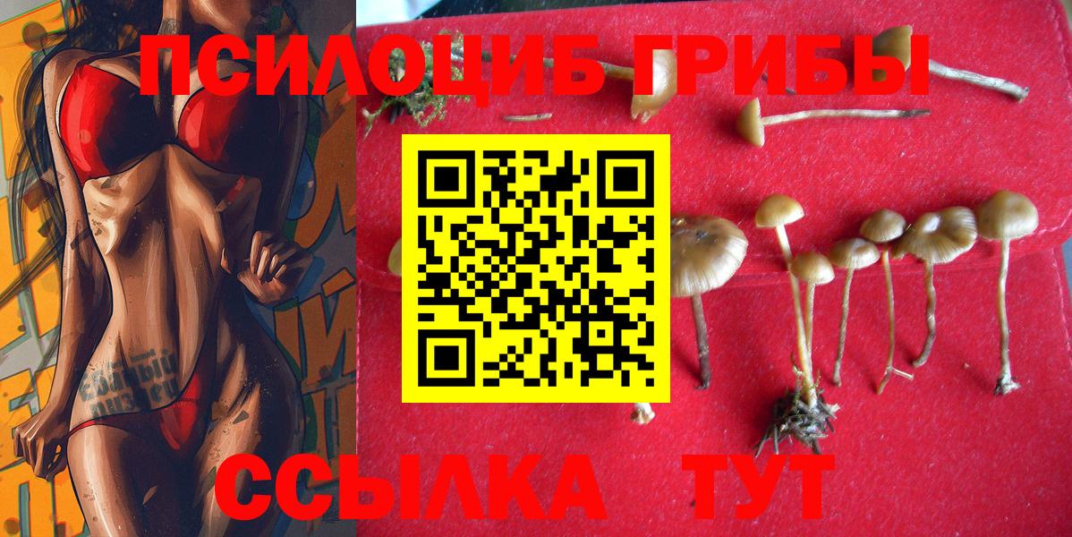 Анапа  Галлюциногенные грибы Psilocybe  Вход с VPN 