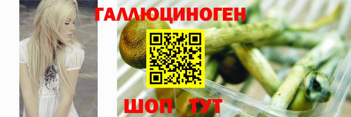 Псилоцибиновые грибы Cubensis Анапа